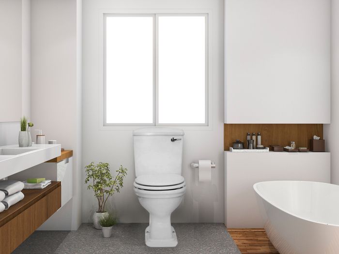Constantia White Front Flush Toilet Suite